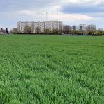 Vue sur champs devant L'Almont