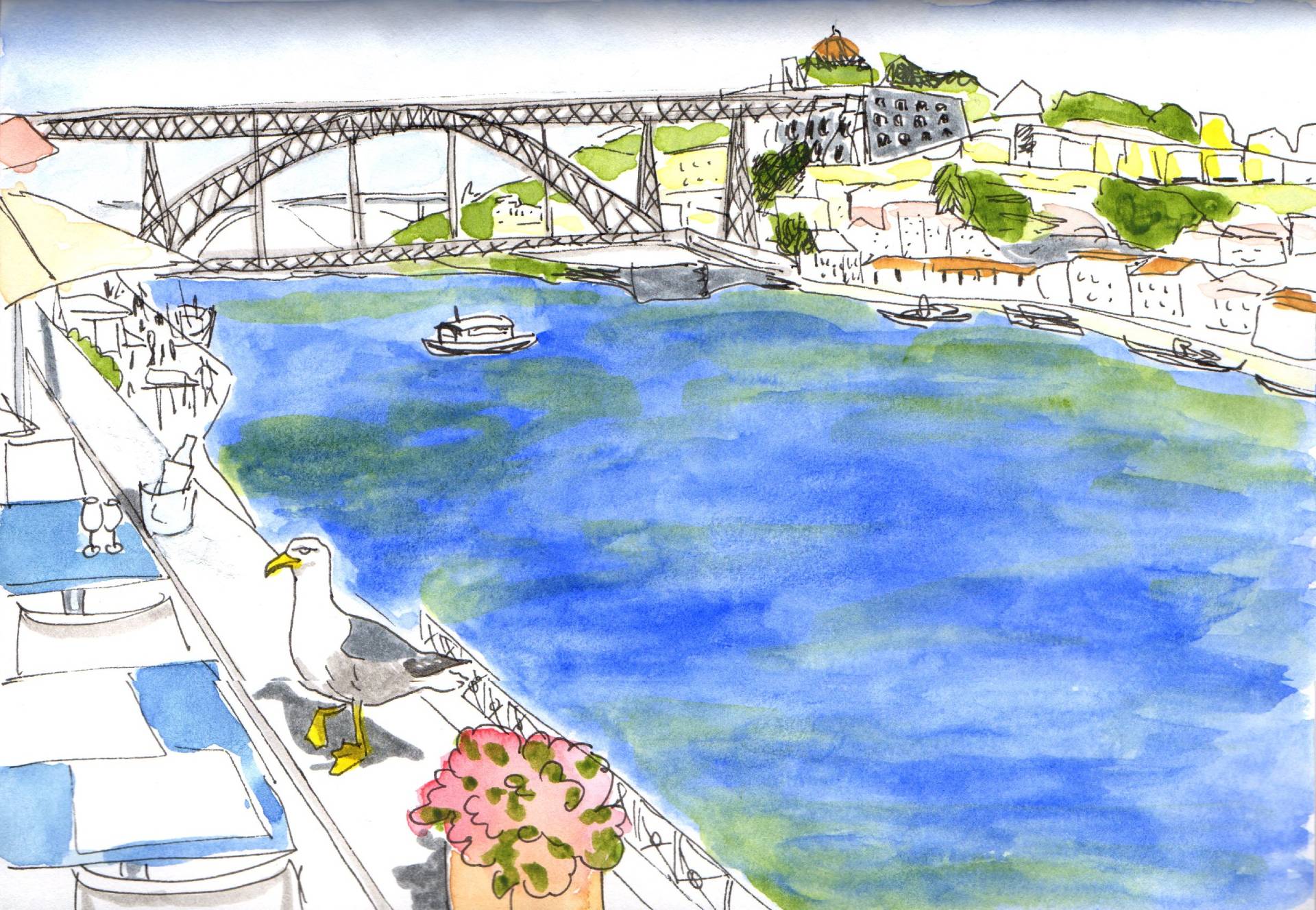 Aquarelle mouette Porto